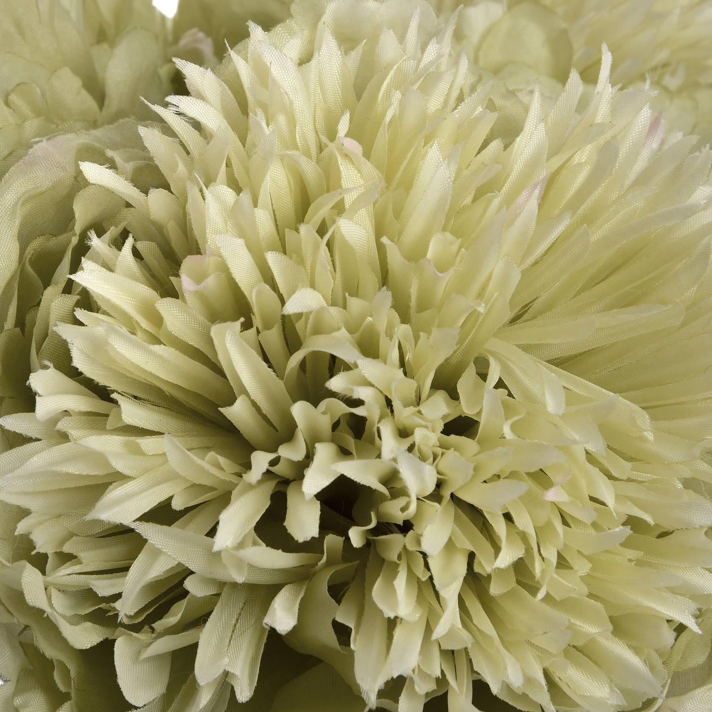 Green Peony - Eudemonia Home Goods