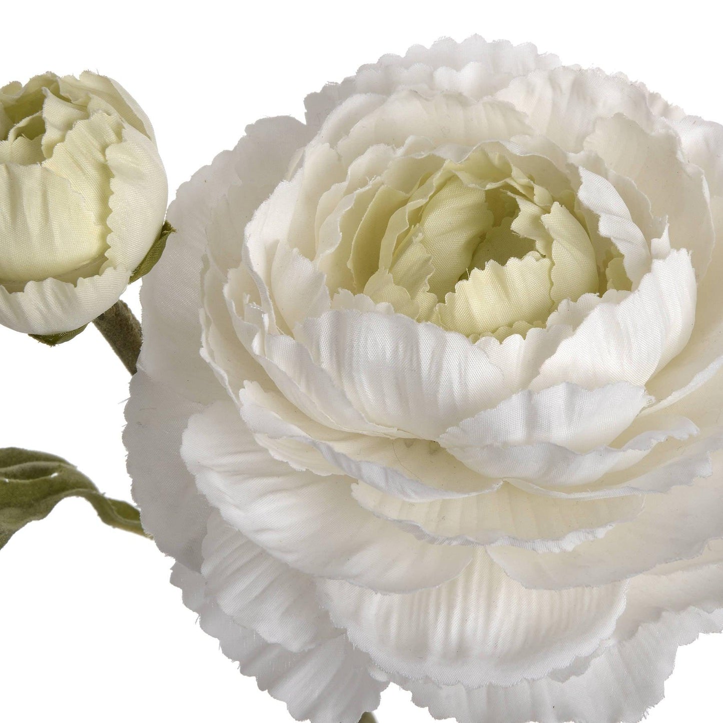 White Ranunculus Spray - Eudemonia Home Goods