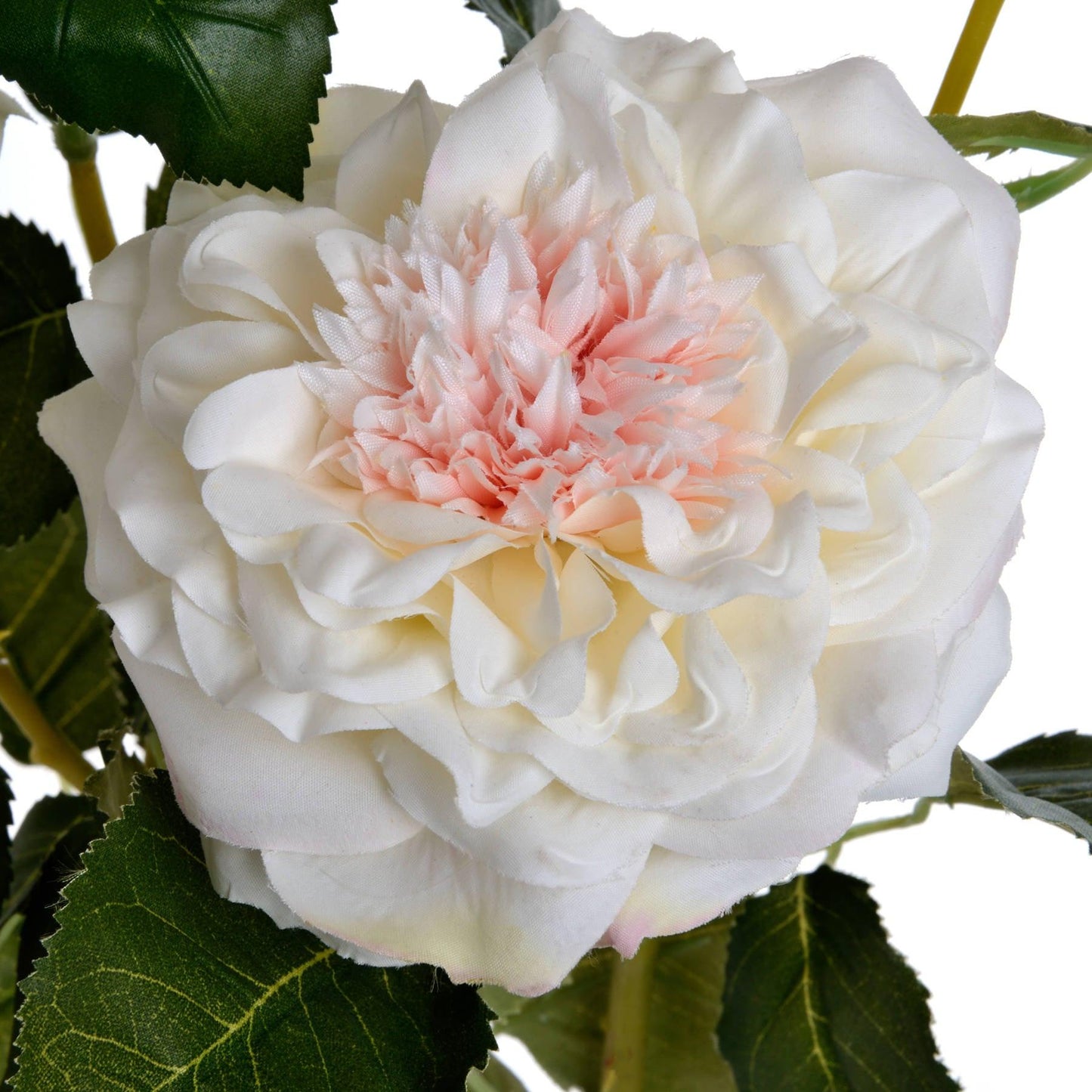 White Garden Rose Spray - Eudemonia Home Goods