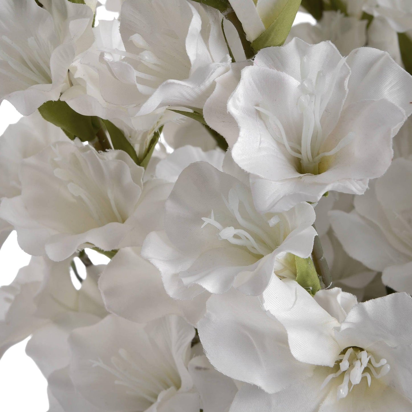 White Gladioli - Eudemonia Home Goods