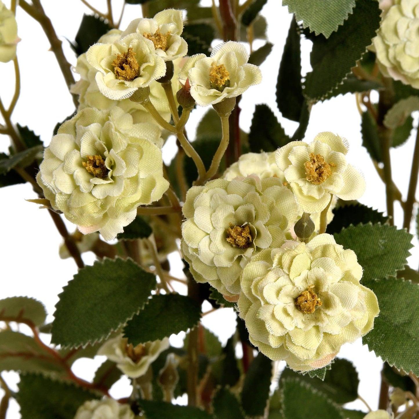 Green Wild Meadow Rose - Eudemonia Home Goods