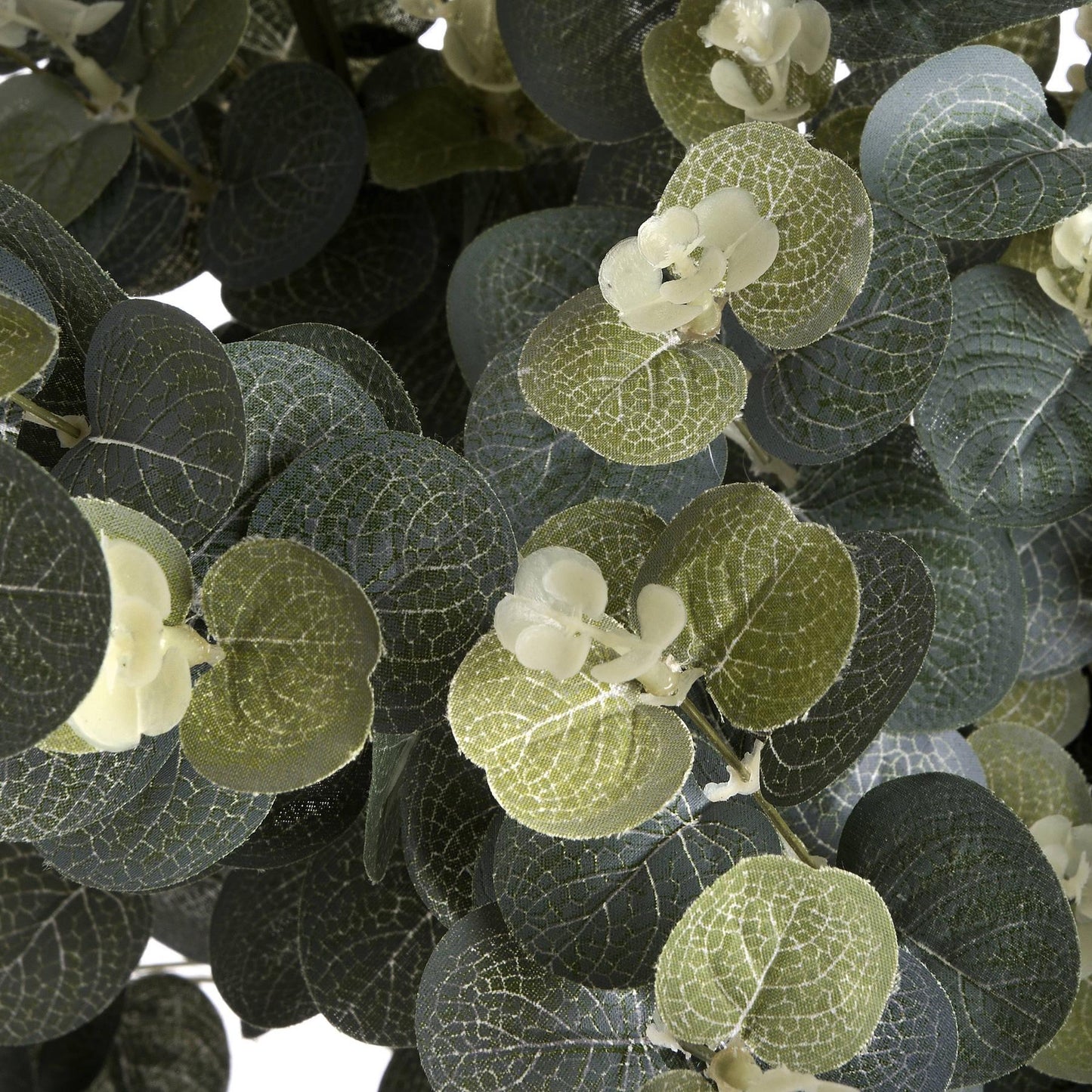 Eucalyptus Spray - Eudemonia Home Goods