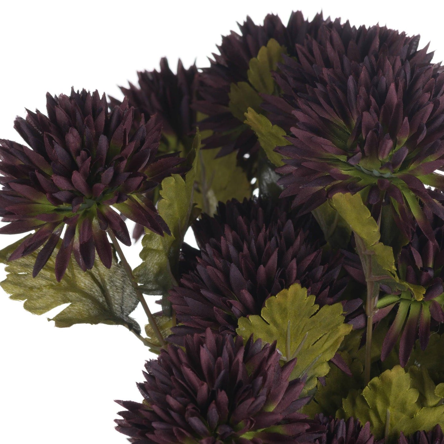 Chocolate Chrysanthemum - Eudemonia Home Goods