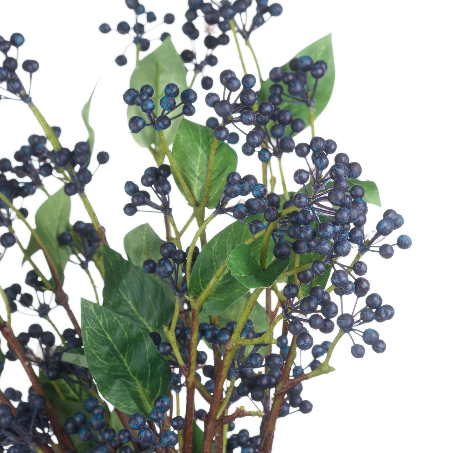 Viburnum Berry - Eudemonia Home Goods