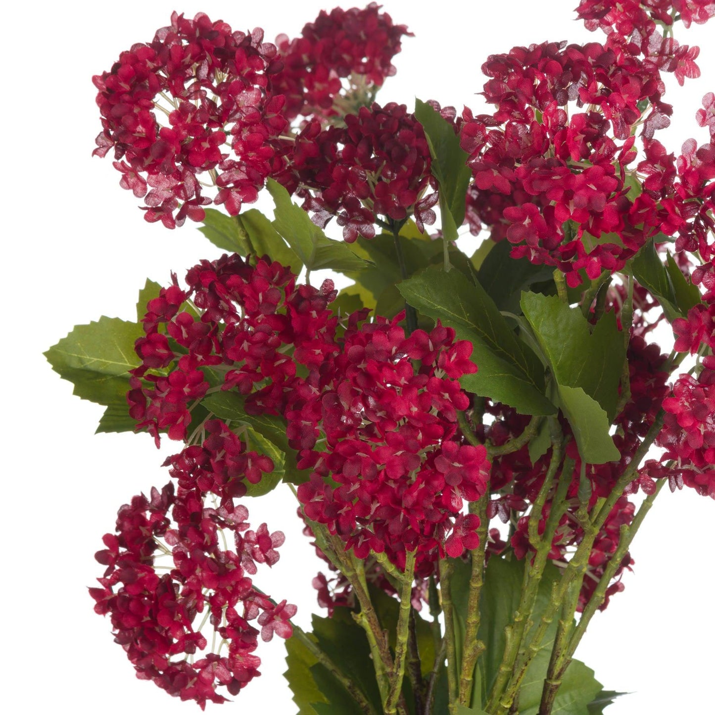 Red Autumnal Viburnum - Eudemonia Home Goods