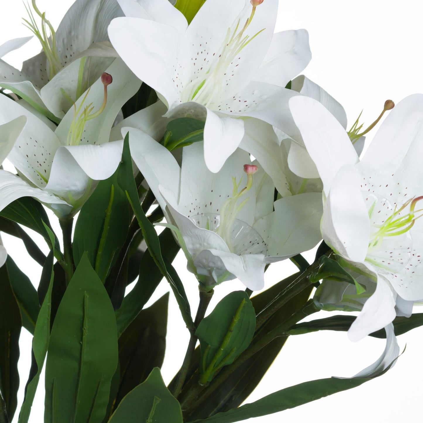 White Lily - Eudemonia Home Goods