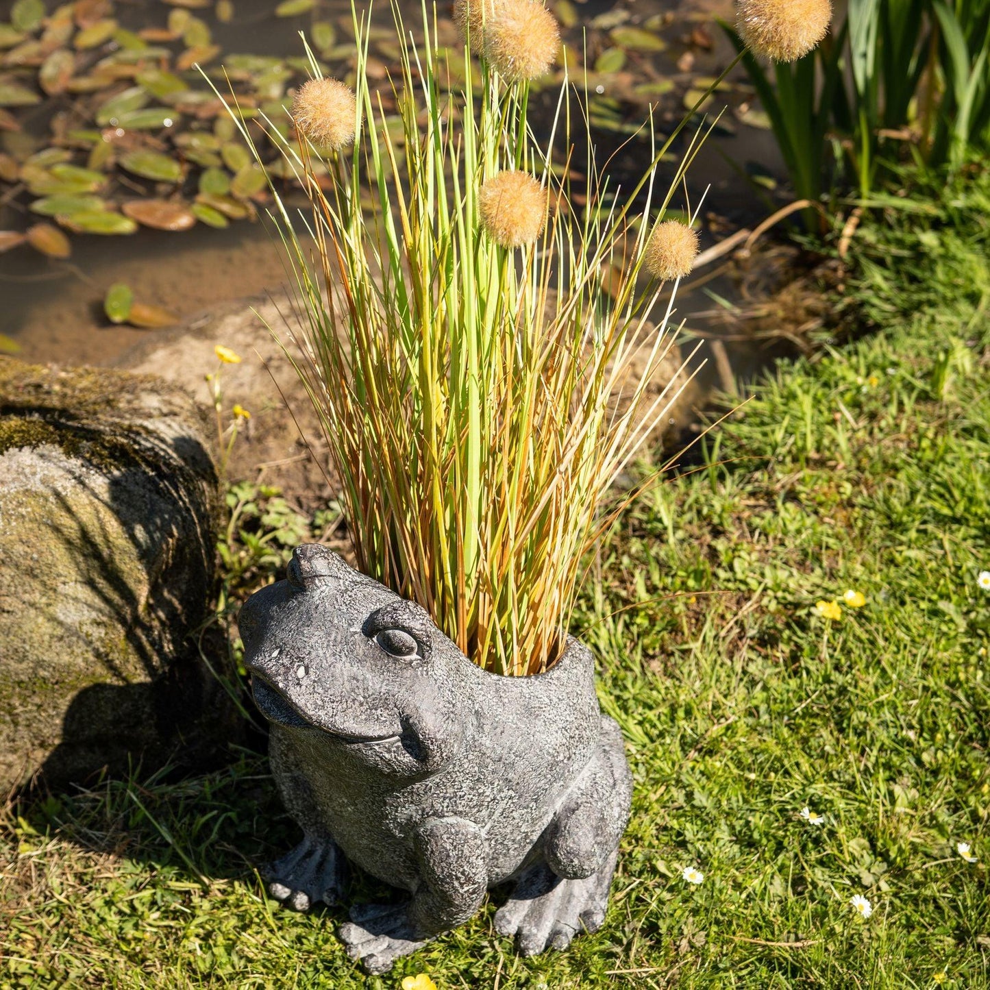 Freddie The Frog Plant Pot Holder - Eudemonia Home Goods
