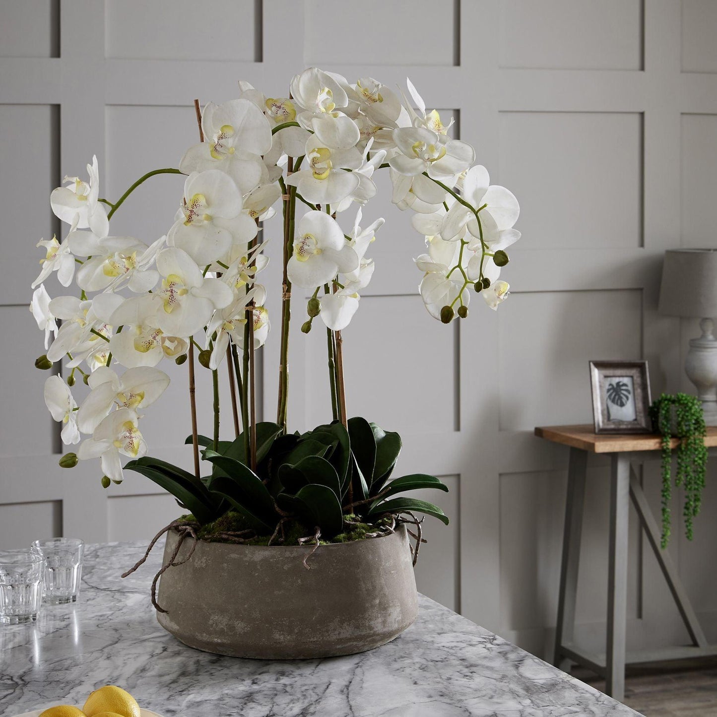 Large White Orchid In Stone Pot - Eudemonia Home Goods