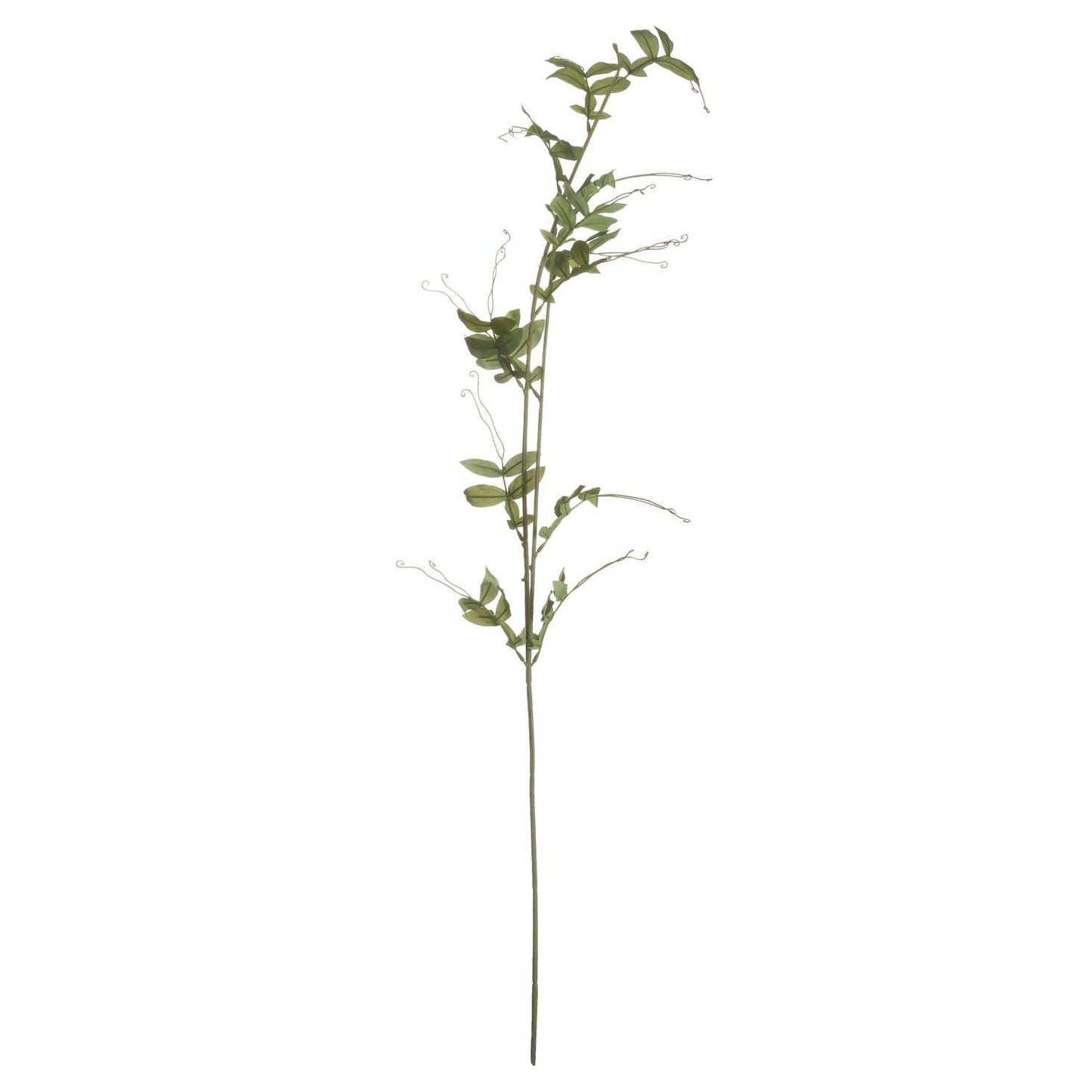 Sweet Pea Trail - Eudemonia Home Goods