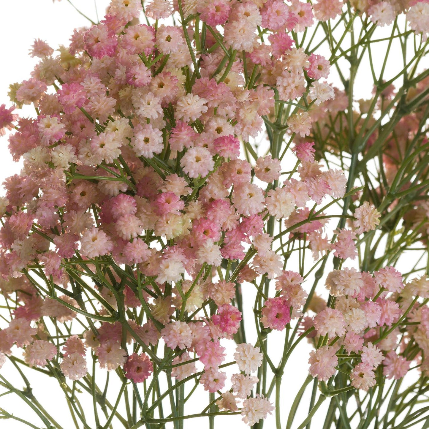 Pink Babys Breath Gypsophilia - Eudemonia Home Goods