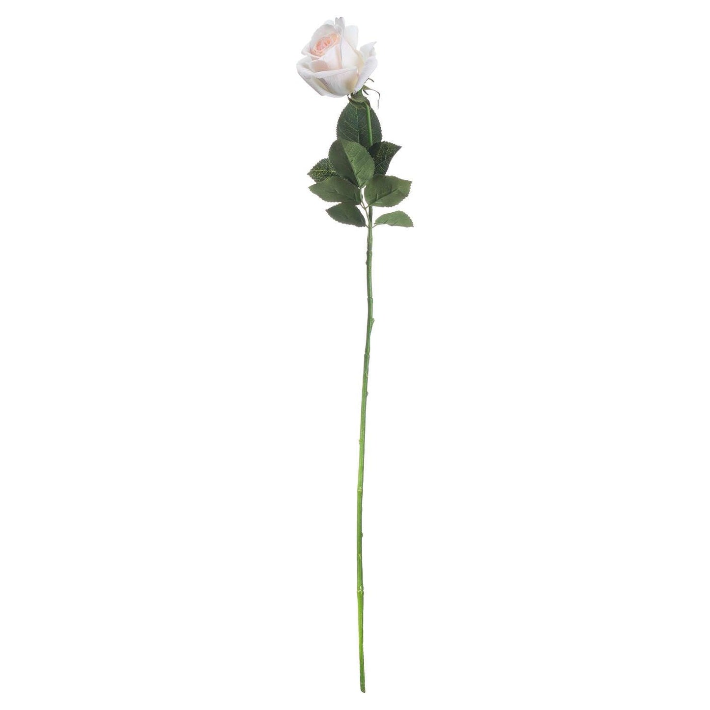 Palest Pink Tea Rose - Eudemonia Home Goods