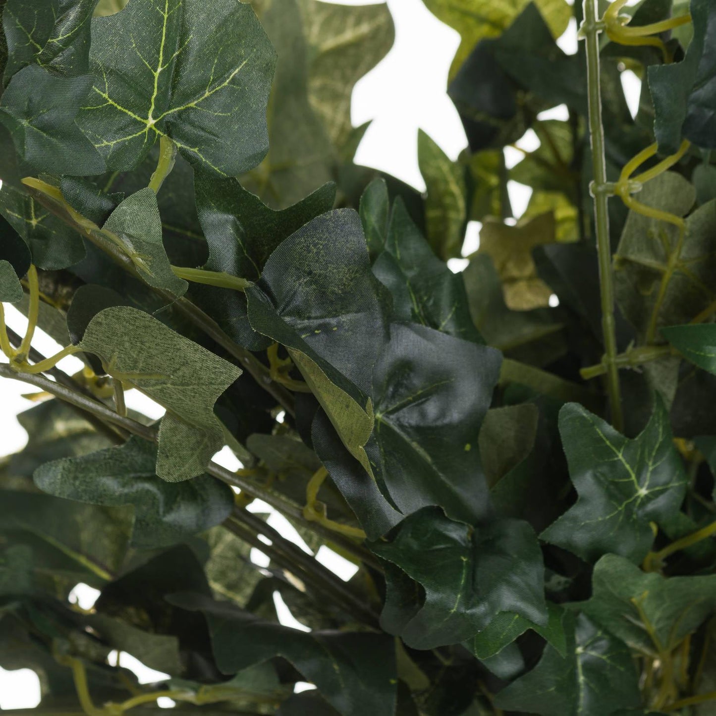 Ivy Pick - Eudemonia Home Goods