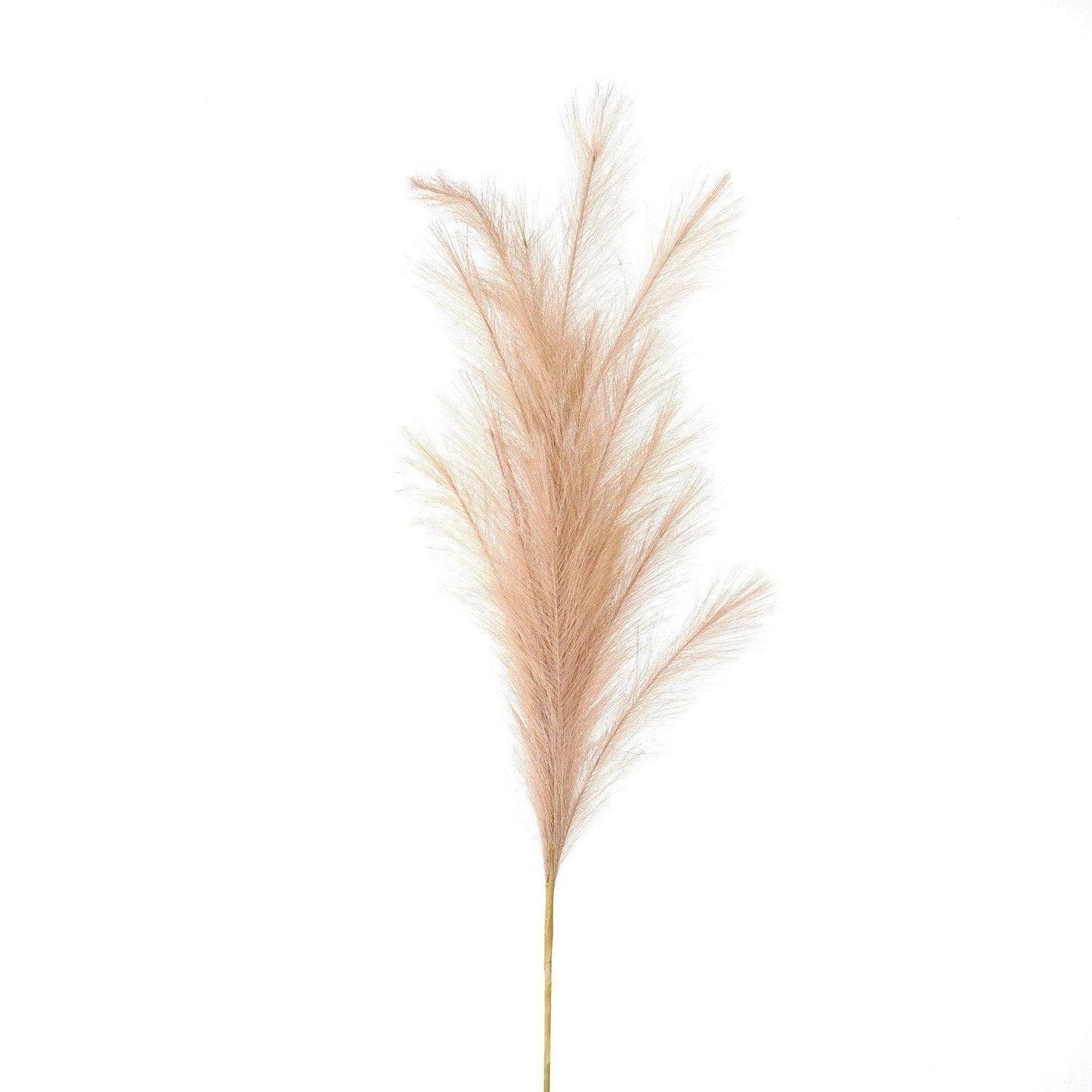 Large Faux Pampas Grass Stem - Eudemonia Home Goods