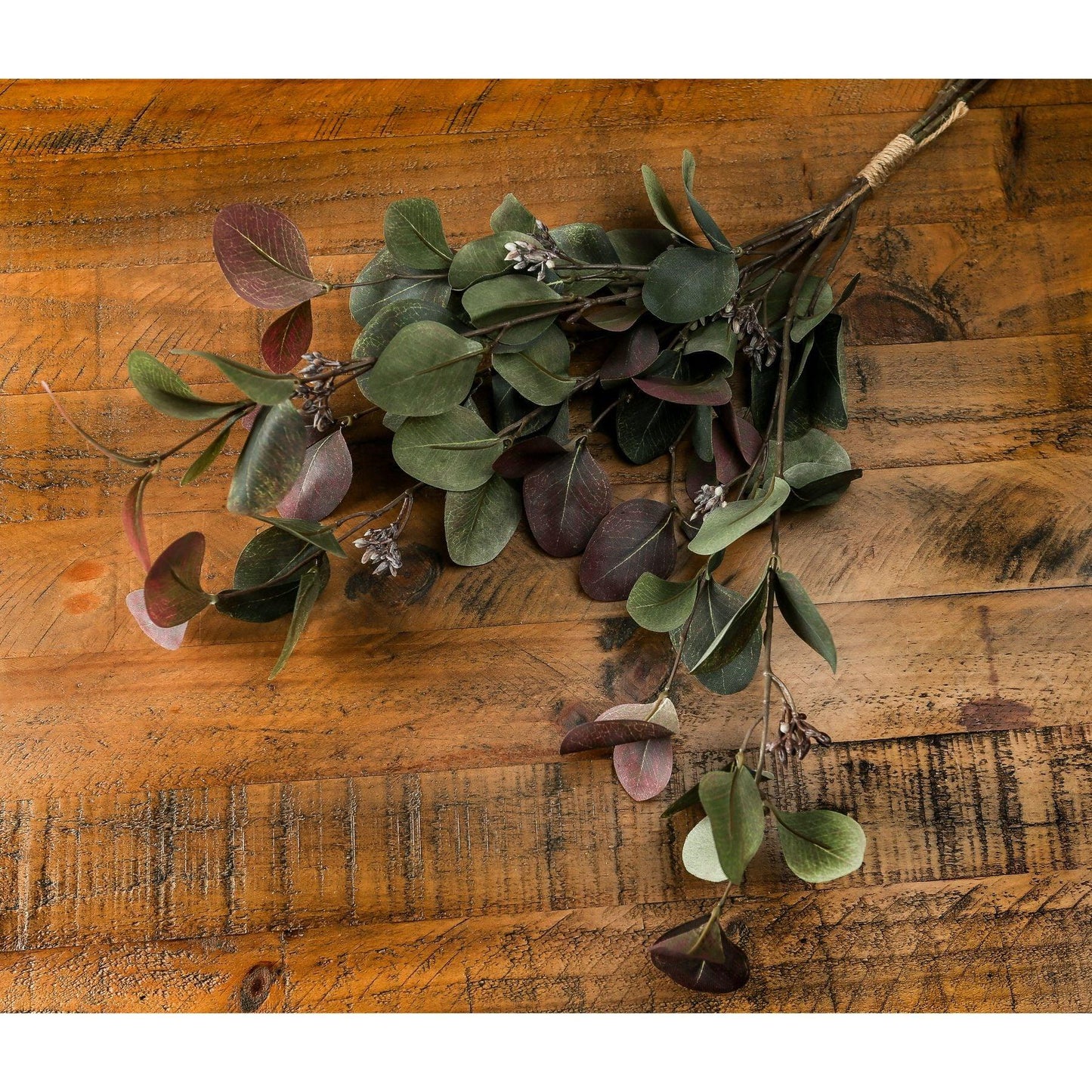 Variegated Eucalyptus Bouquet - Eudemonia Home Goods
