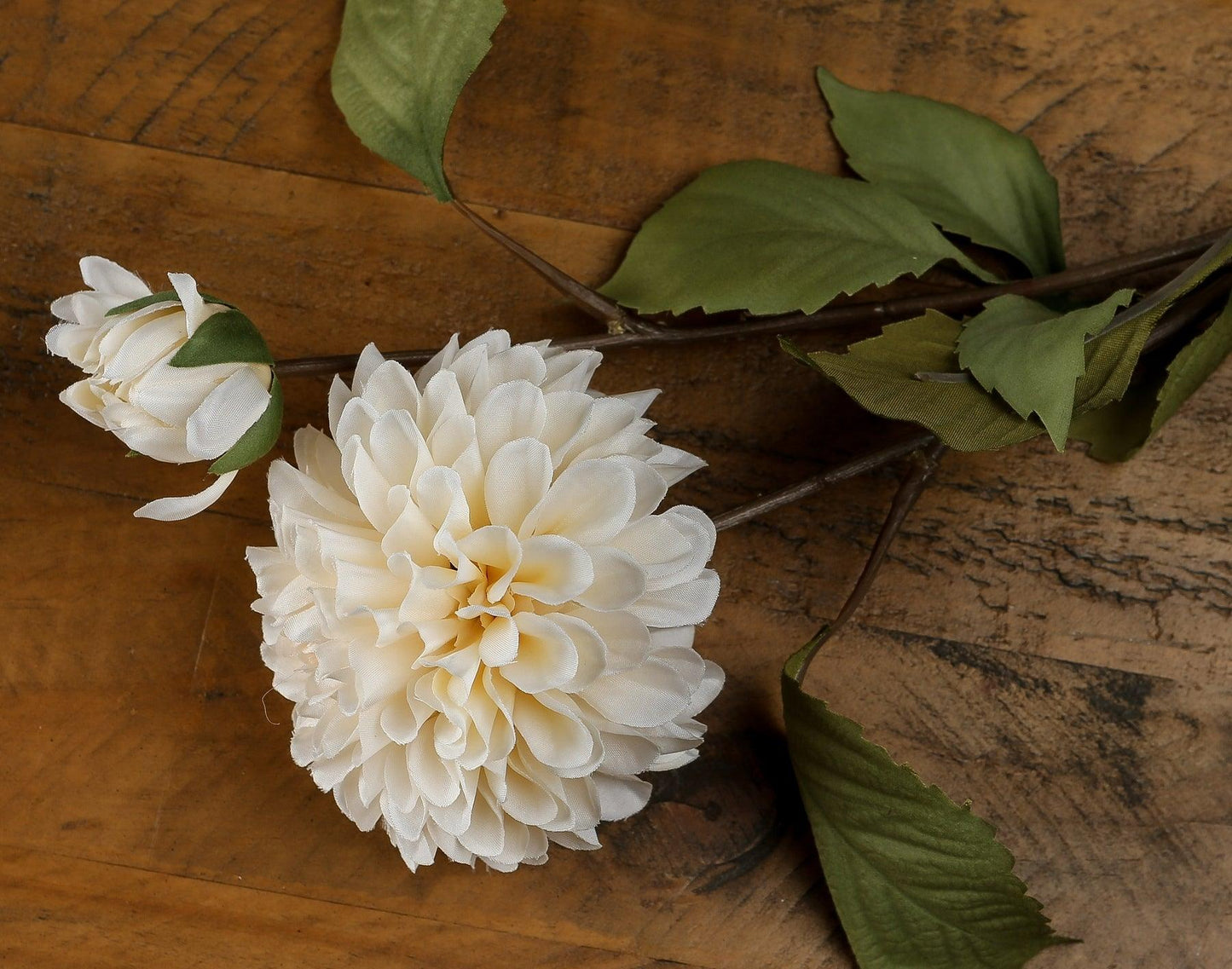 White Dahlia Stem - Eudemonia Home Goods
