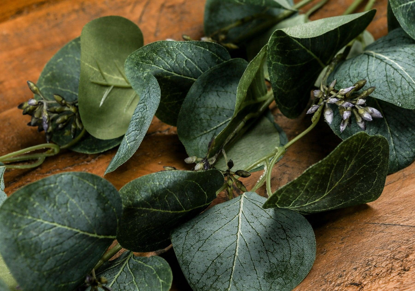 Eucalyptus Stem Spray - Eudemonia Home Goods