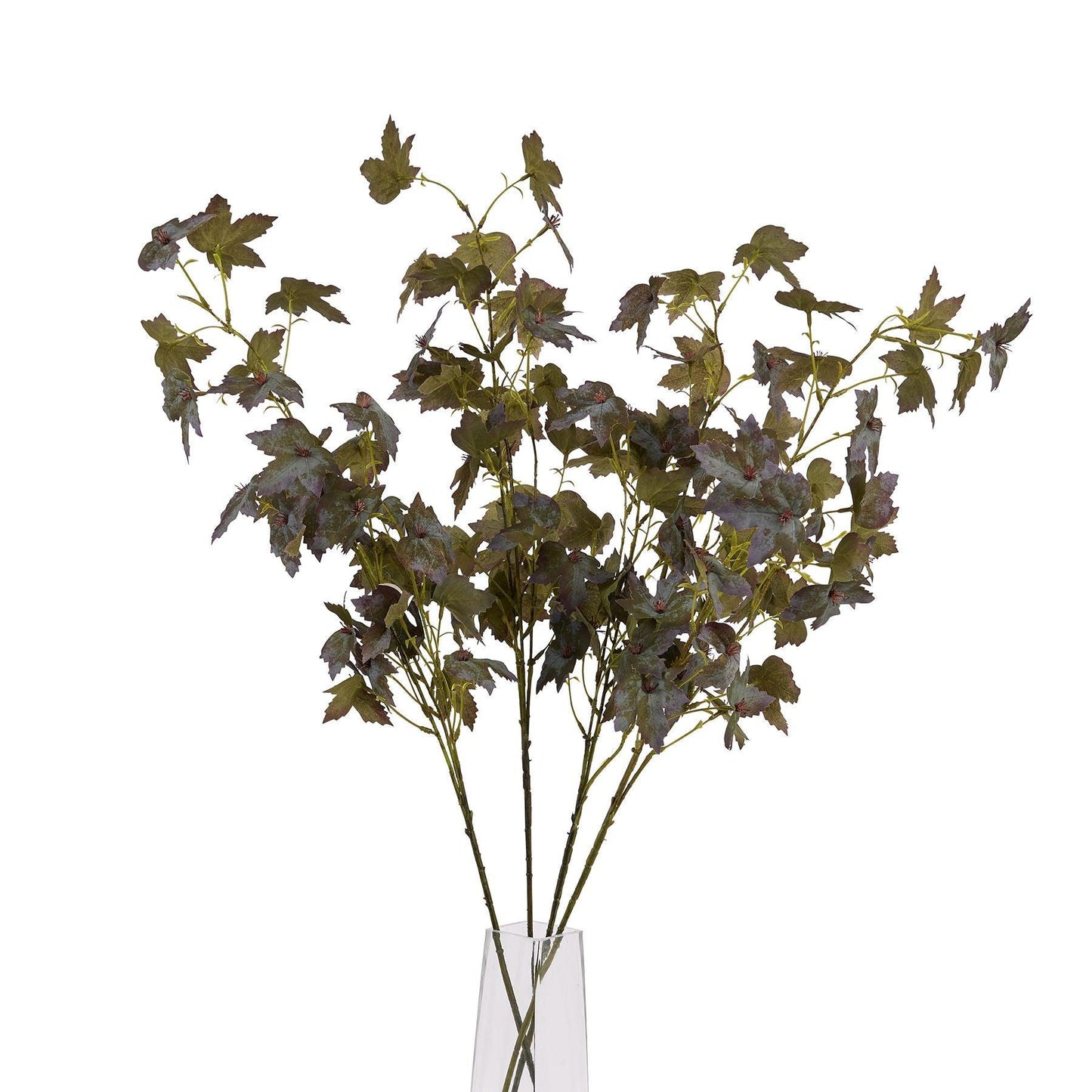 Variegated Maple Leaf - Eudemonia Home Goods