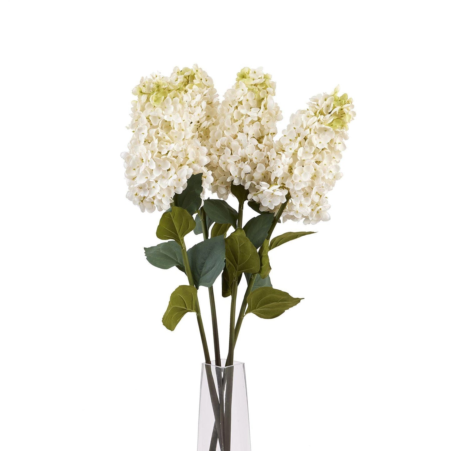 White Spear Hydrangea - Eudemonia Home Goods