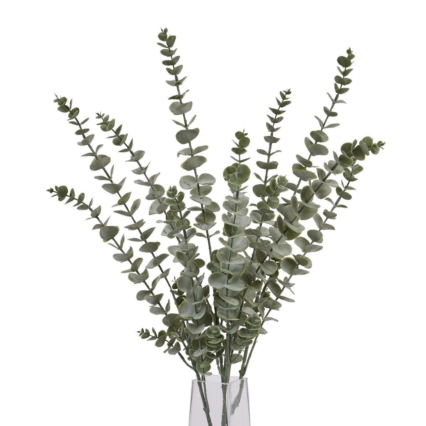 Gunnii Blue Eucalyptus Spray - Eudemonia Home Goods