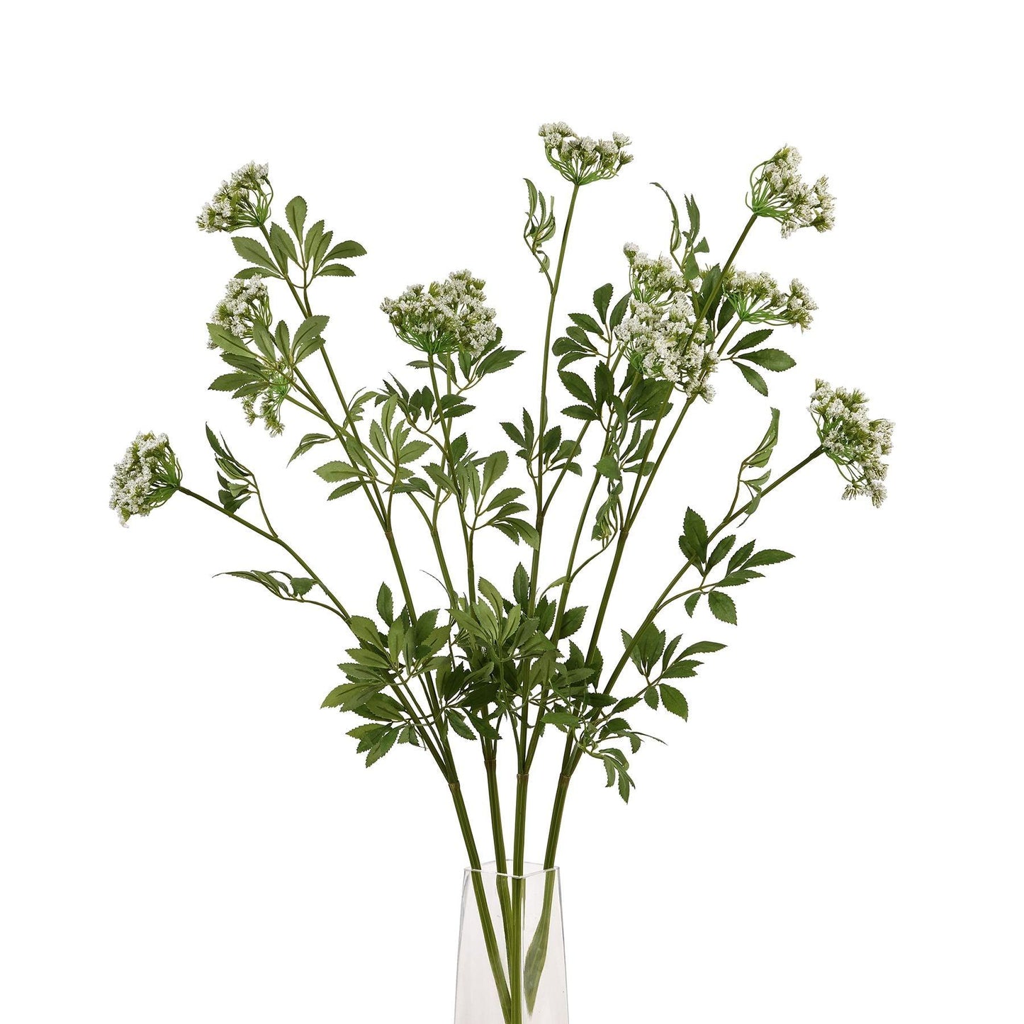 Faux White Cow Parsley Ammi - Eudemonia Home Goods
