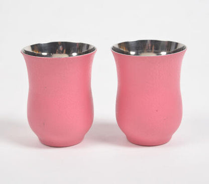Matte Pink Stainless Steel Glasses (set of 2)
