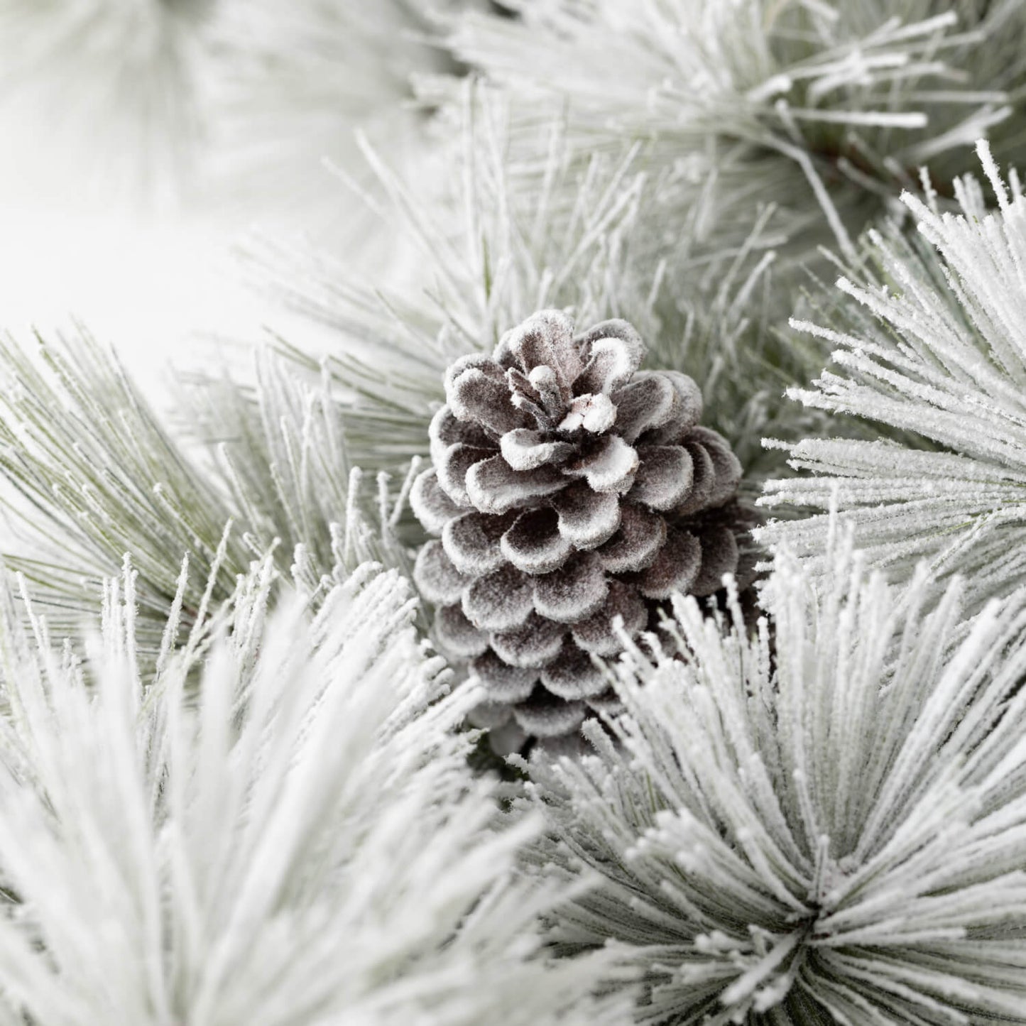 6' FLOCKED PINE & CONE GARLAND