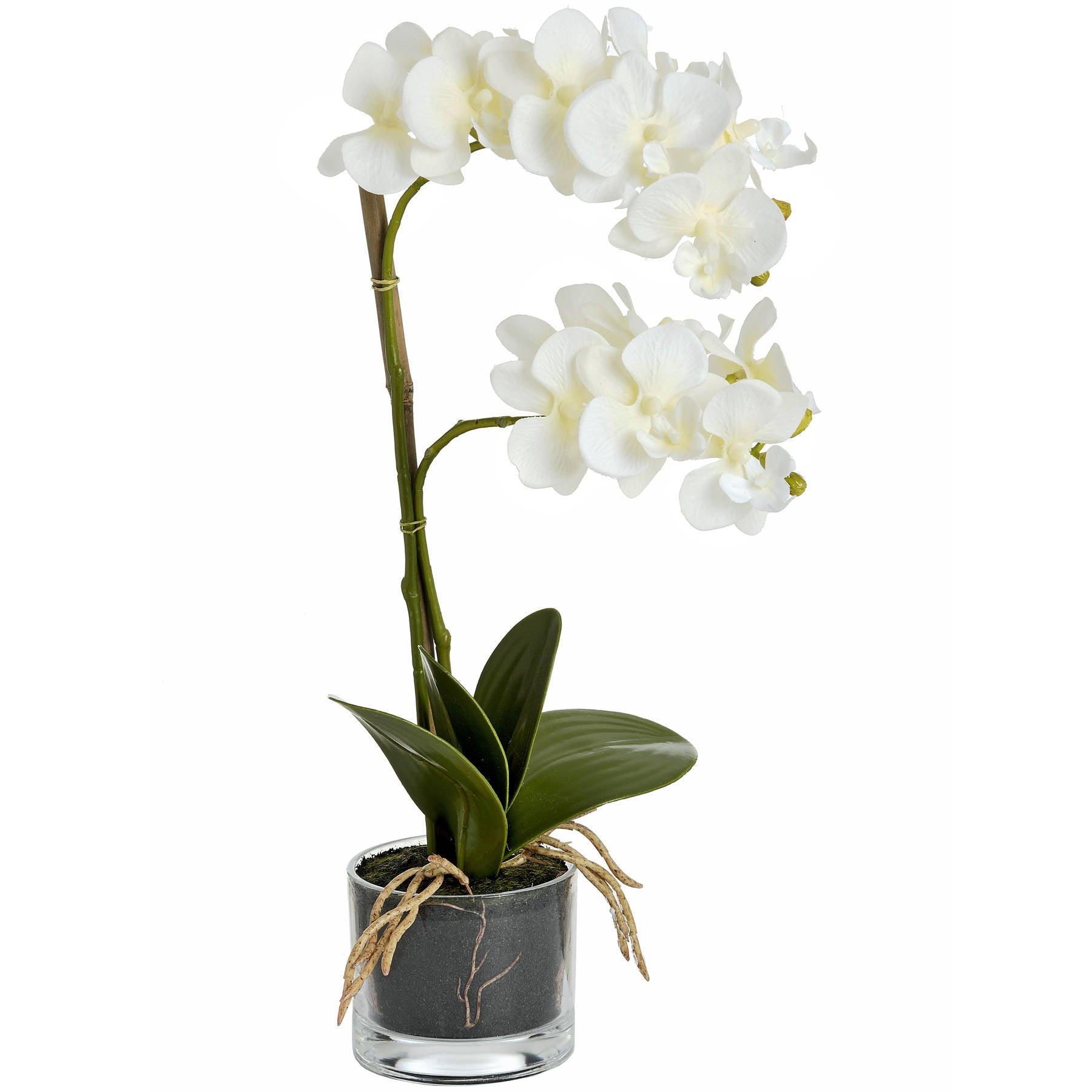 Harmony White Potted Orchid - Eudemonia Home Goods