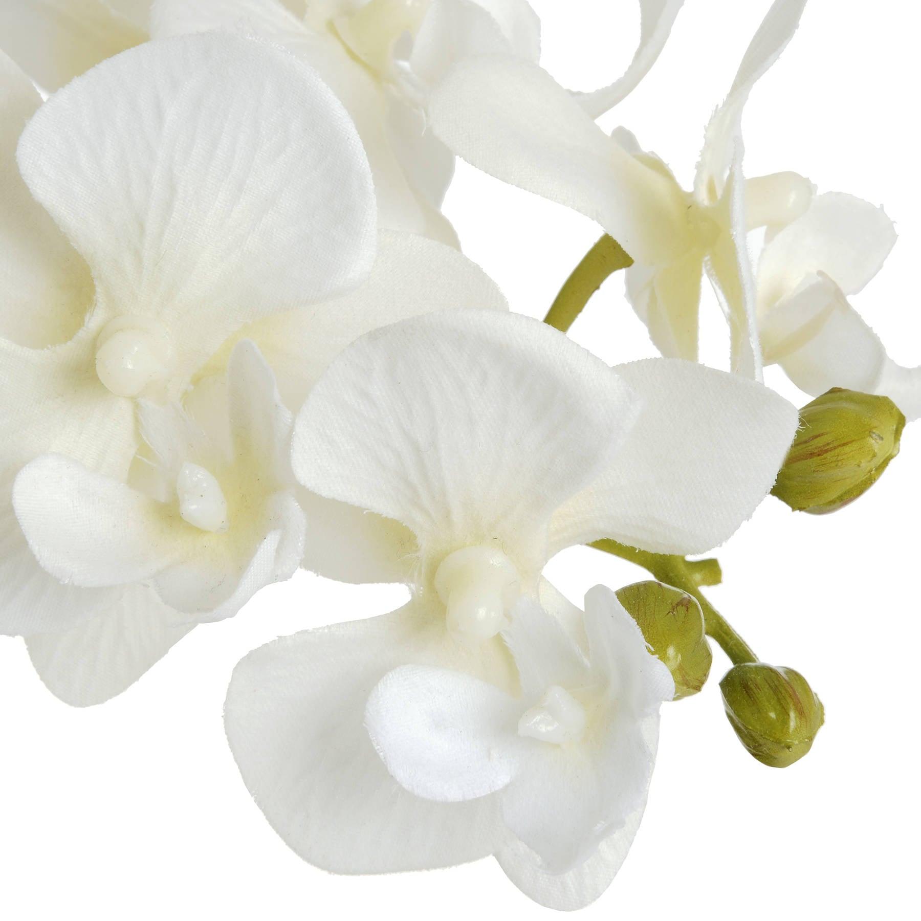 Harmony White Potted Orchid - Eudemonia Home Goods