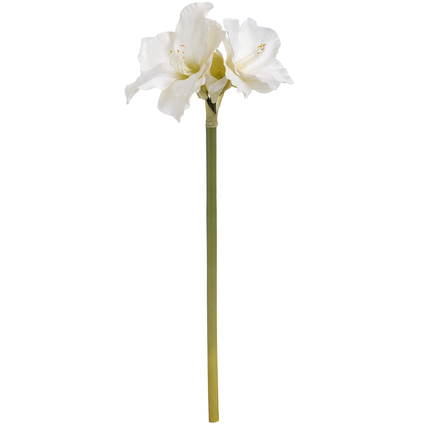 Classic White Amaryllis Flower - Eudemonia Home Goods