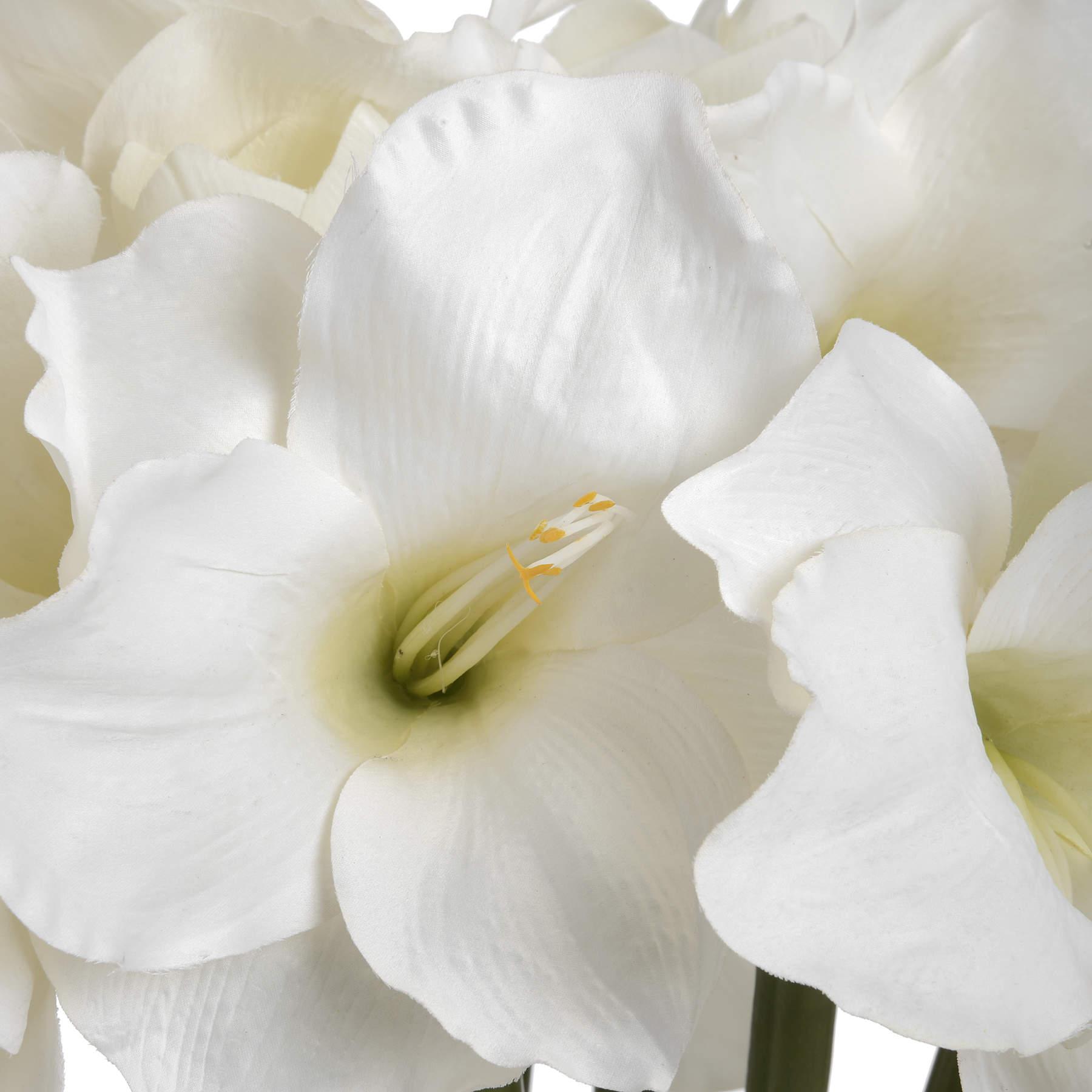 Classic White Amaryllis Flower - Eudemonia Home Goods