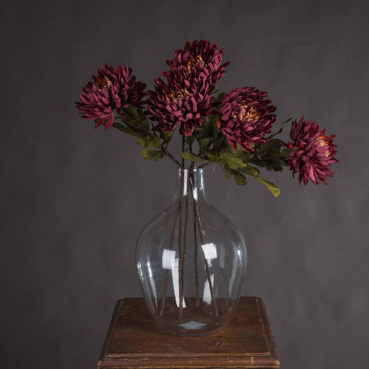 Autumn Spider Chrysanthemum - Eudemonia Home Goods