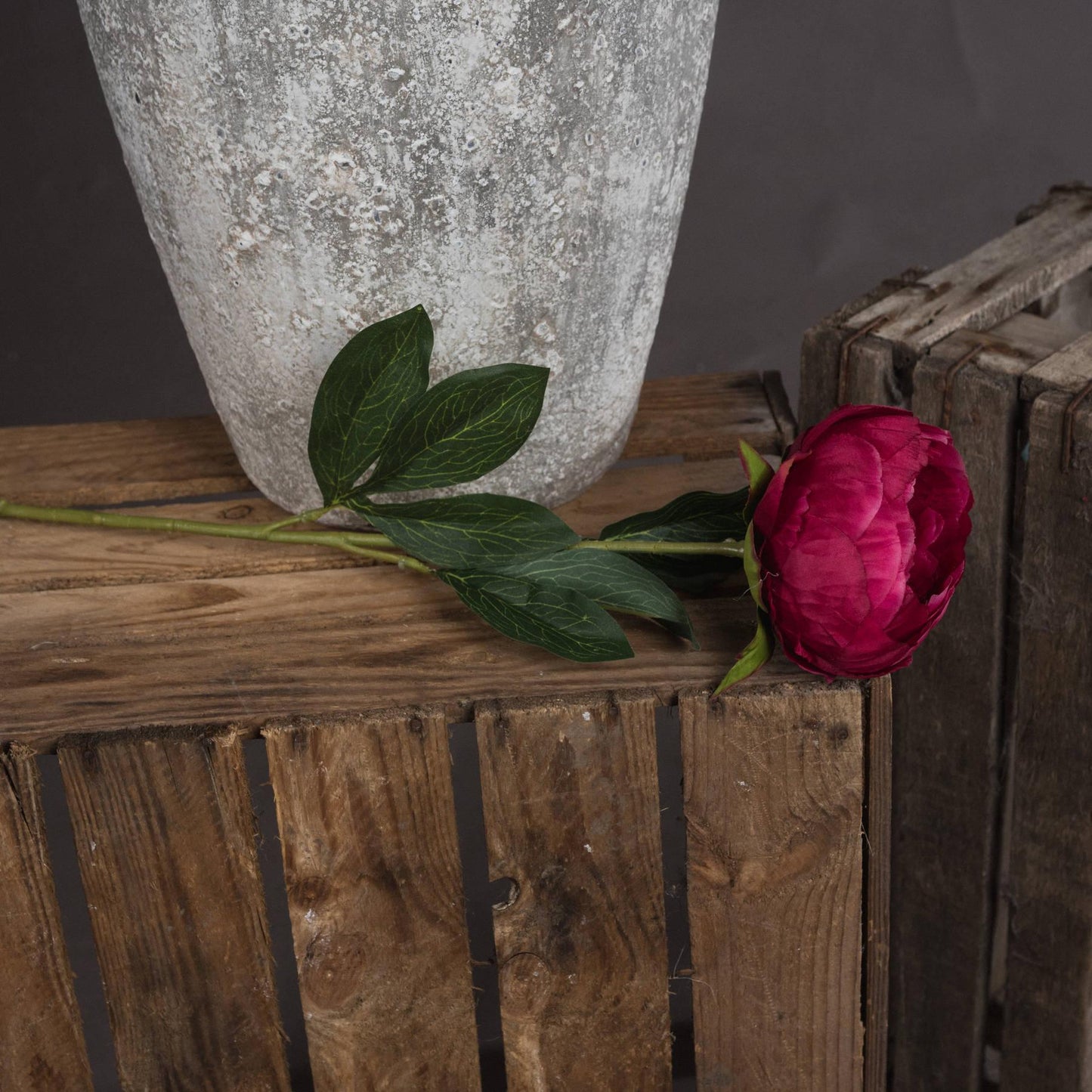 Cerise Peony - Eudemonia Home Goods