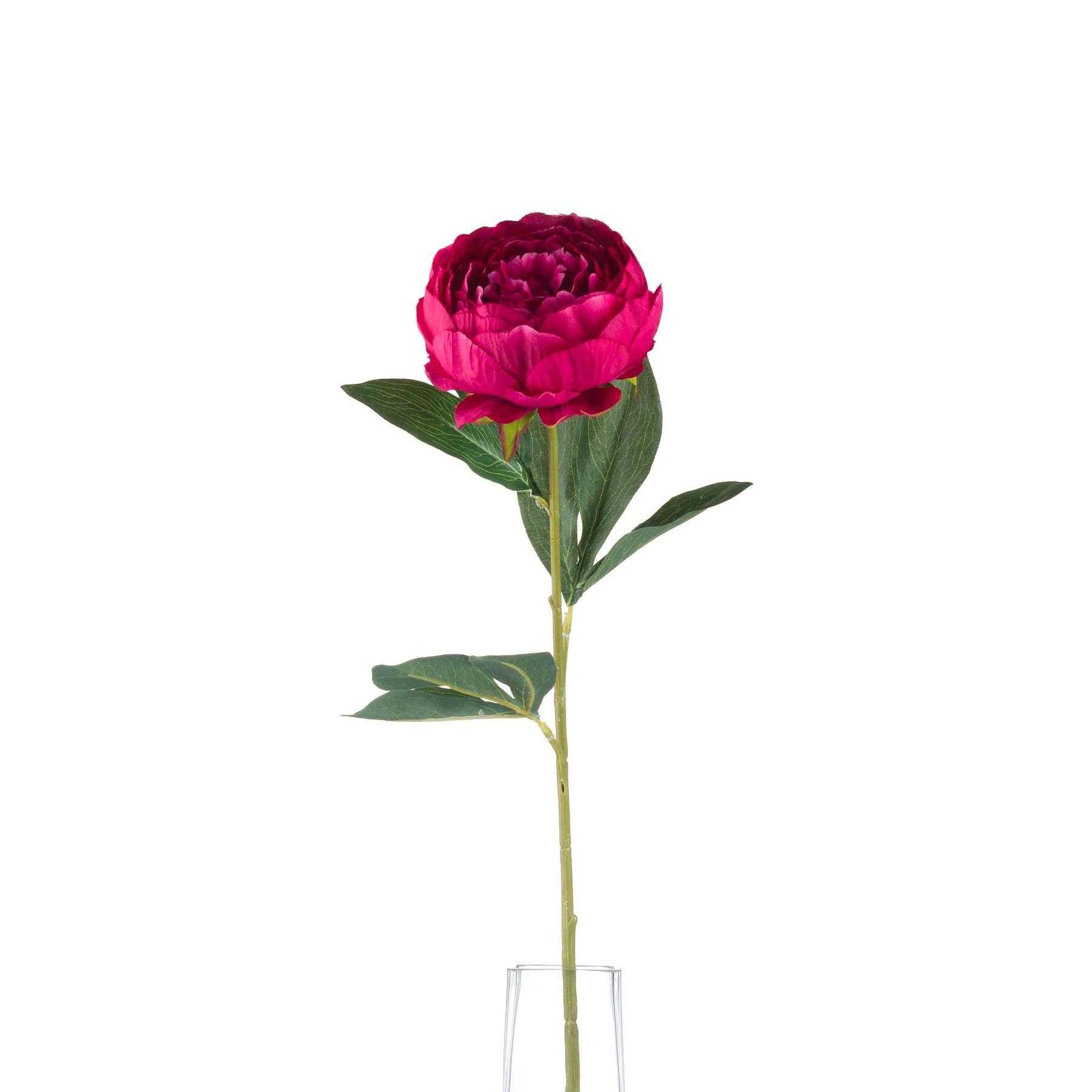 Cerise Peony - Eudemonia Home Goods