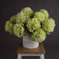 Green Peony - Eudemonia Home Goods