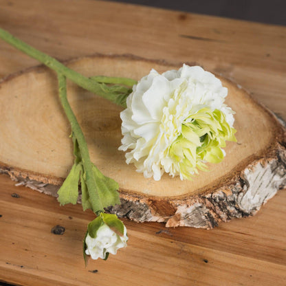 Green Ranunculus Spray - Eudemonia Home Goods