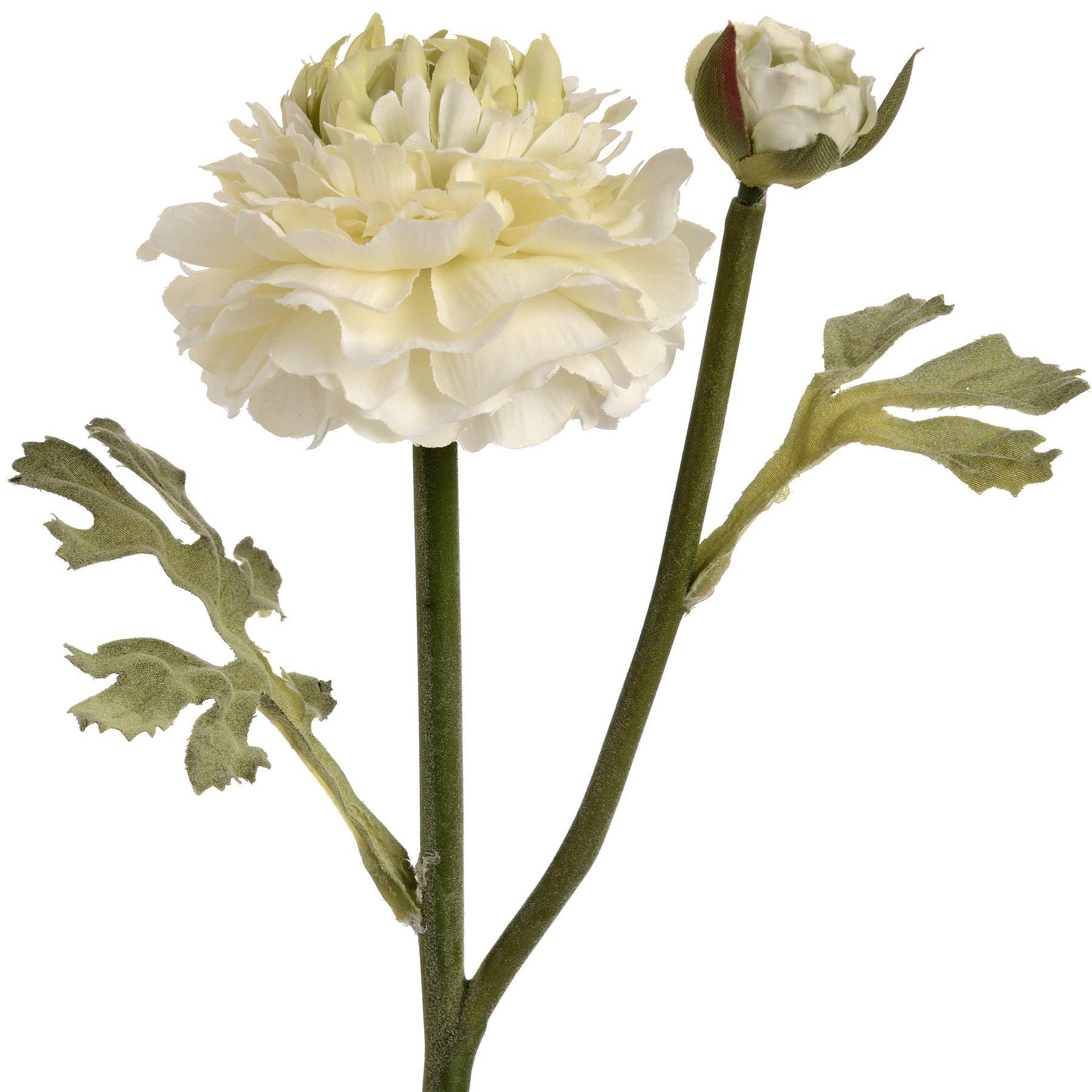 Green Ranunculus Spray - Eudemonia Home Goods