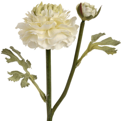 Green Ranunculus Spray - Eudemonia Home Goods