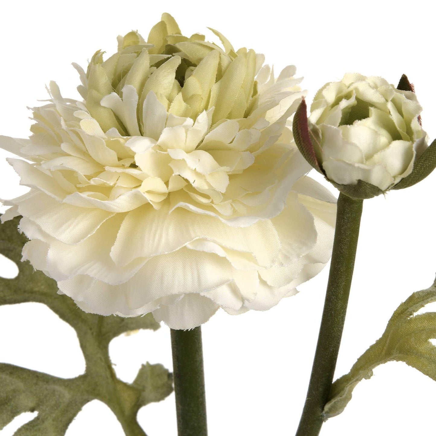 Green Ranunculus Spray - Eudemonia Home Goods