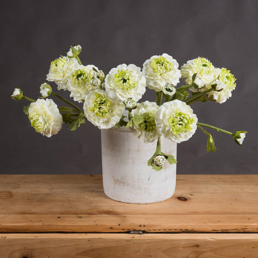 Green Ranunculus Spray - Eudemonia Home Goods