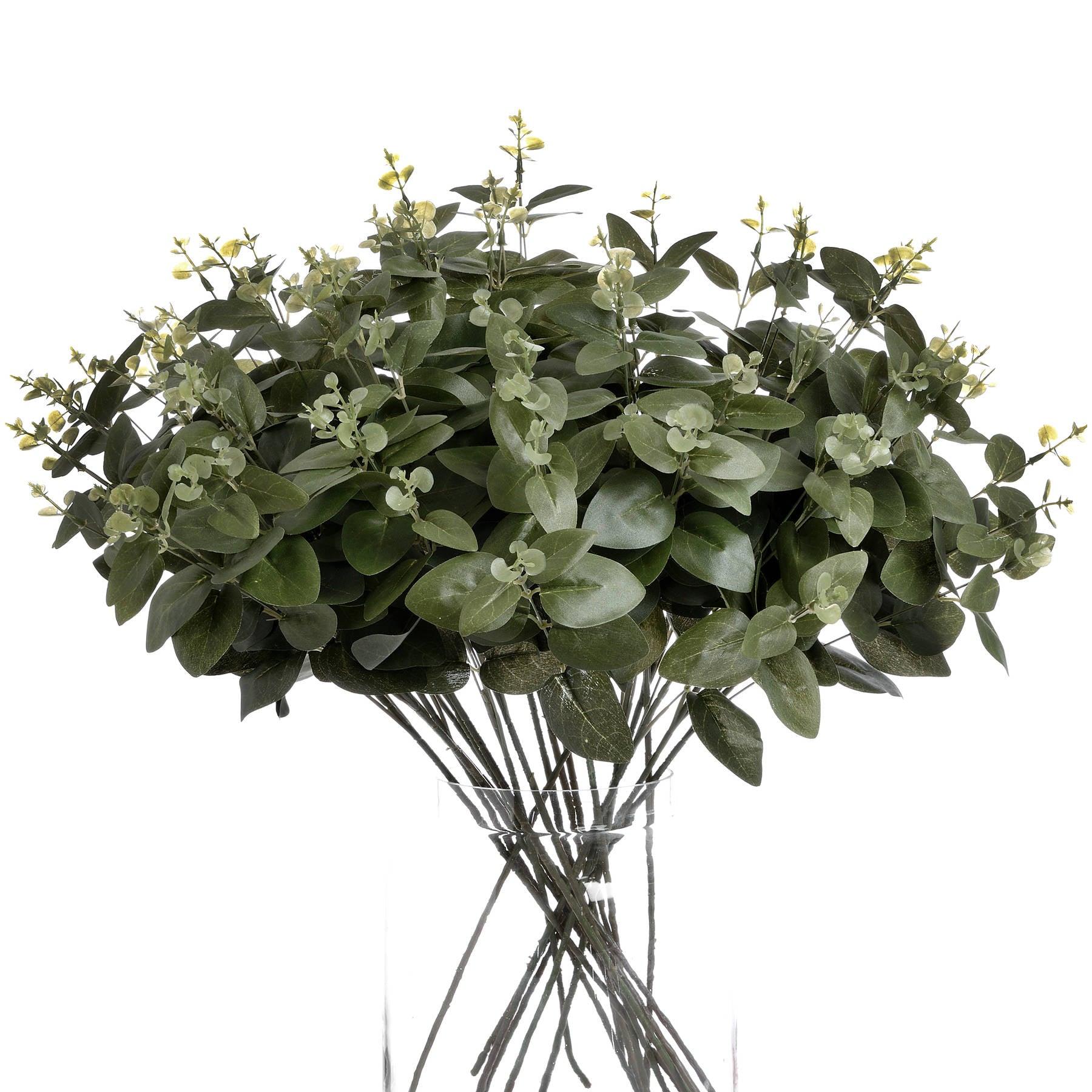 Cineraria Eucalyptus Spray - Eudemonia Home Goods