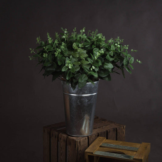 Cineraria Eucalyptus Spray - Eudemonia Home Goods