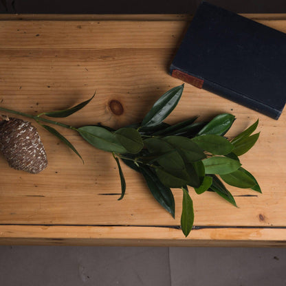 Faux Bay Leaf Spray - Eudemonia Home Goods