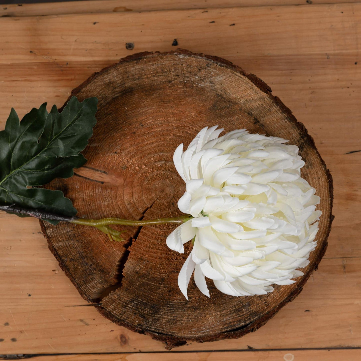 Large White Chrysanthemum - Eudemonia Home Goods