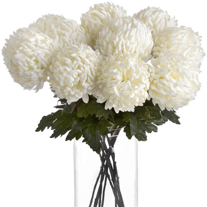 Large White Chrysanthemum - Eudemonia Home Goods