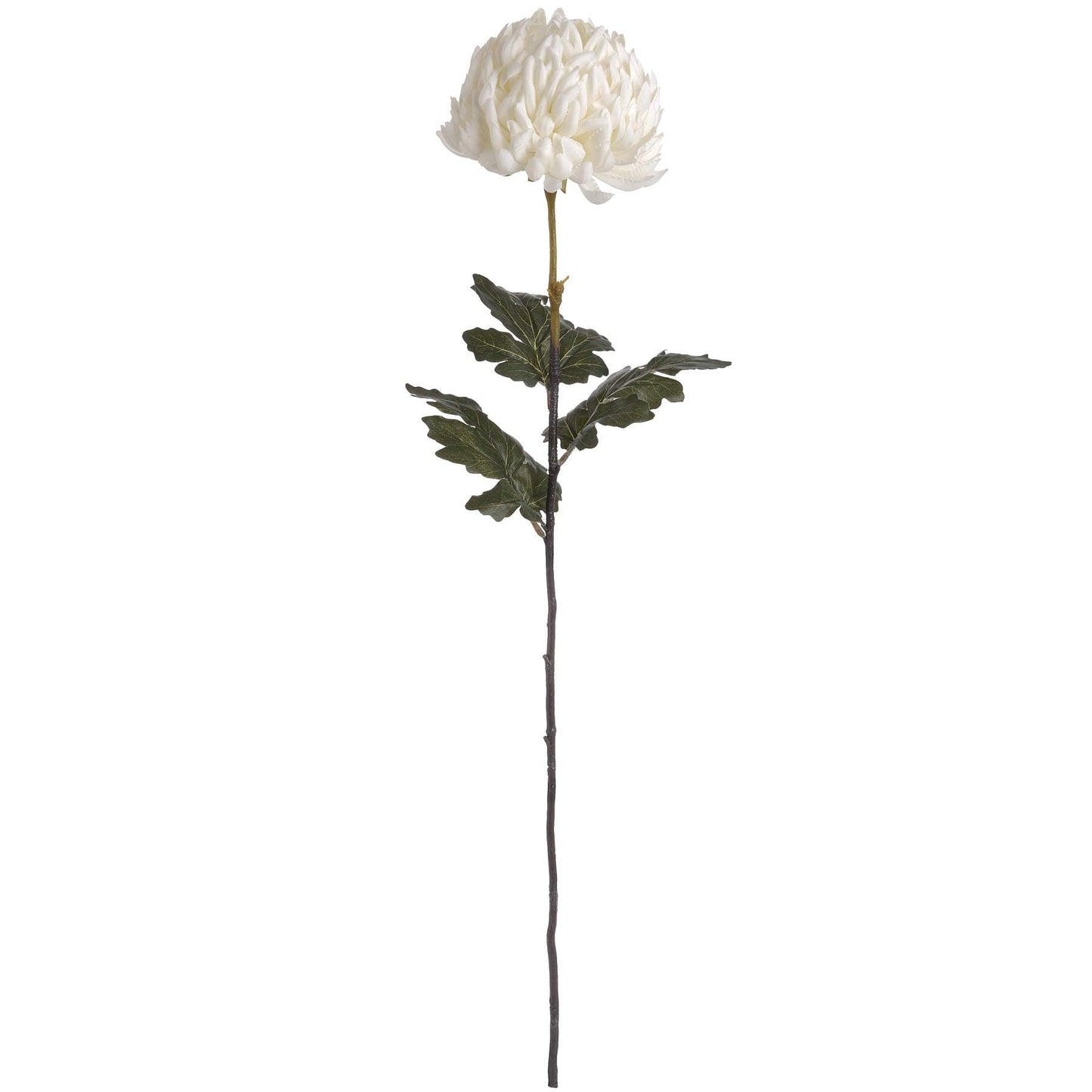Large White Chrysanthemum - Eudemonia Home Goods