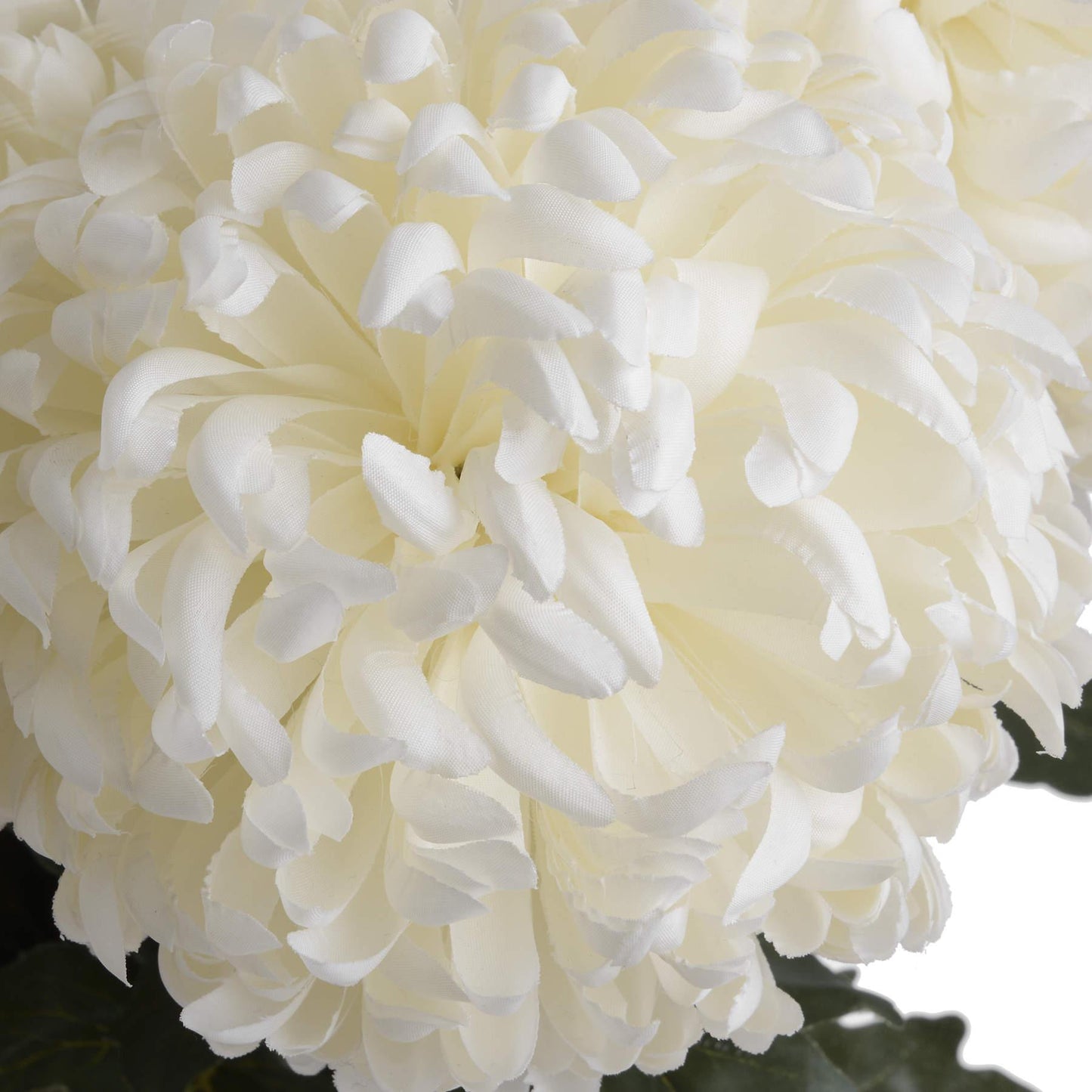 Large White Chrysanthemum - Eudemonia Home Goods