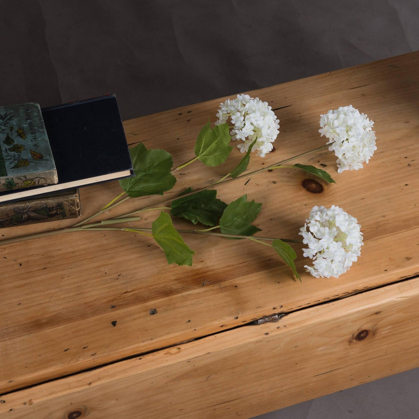 Viburnum Opulus - Eudemonia Home Goods