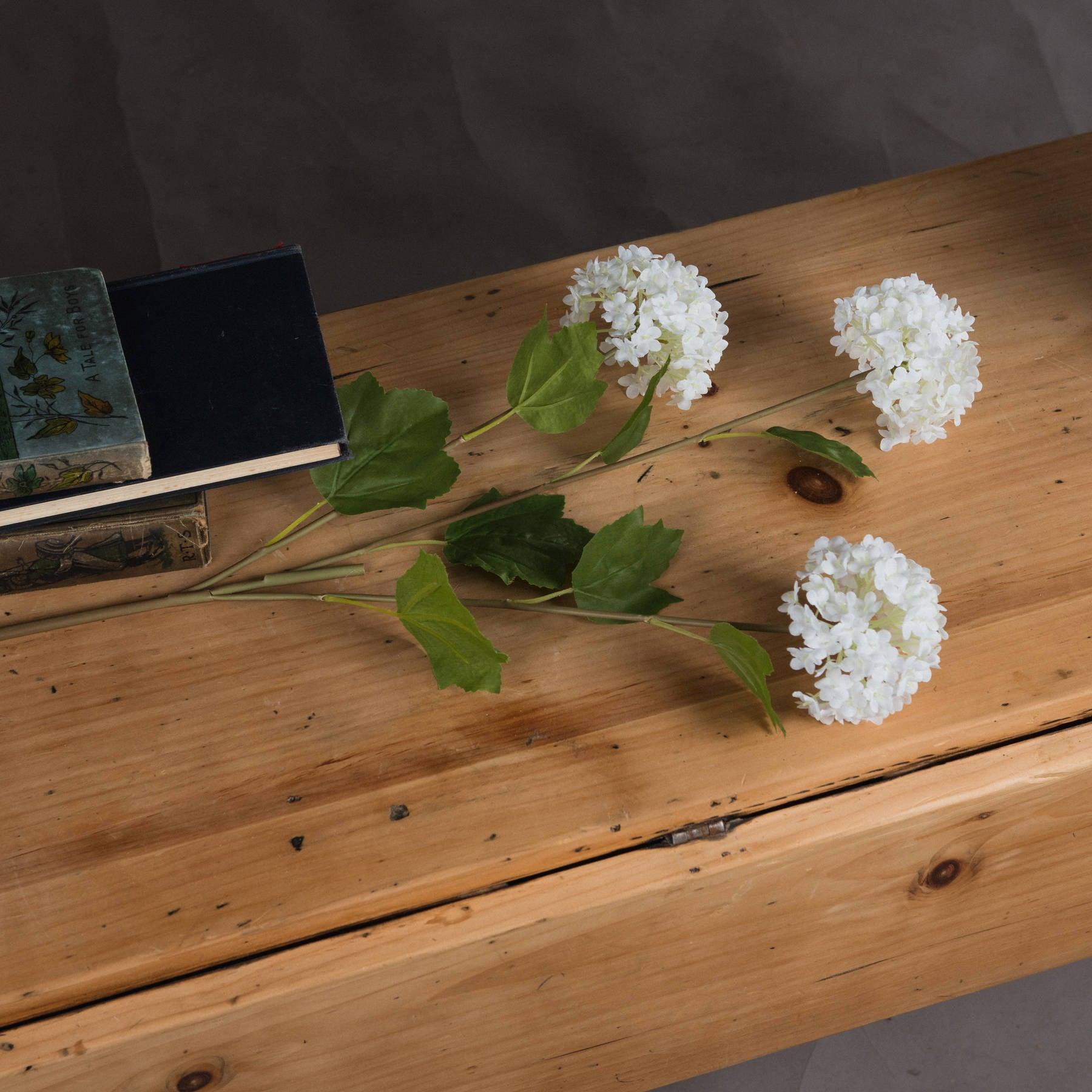 Viburnum Opulus - Eudemonia Home Goods
