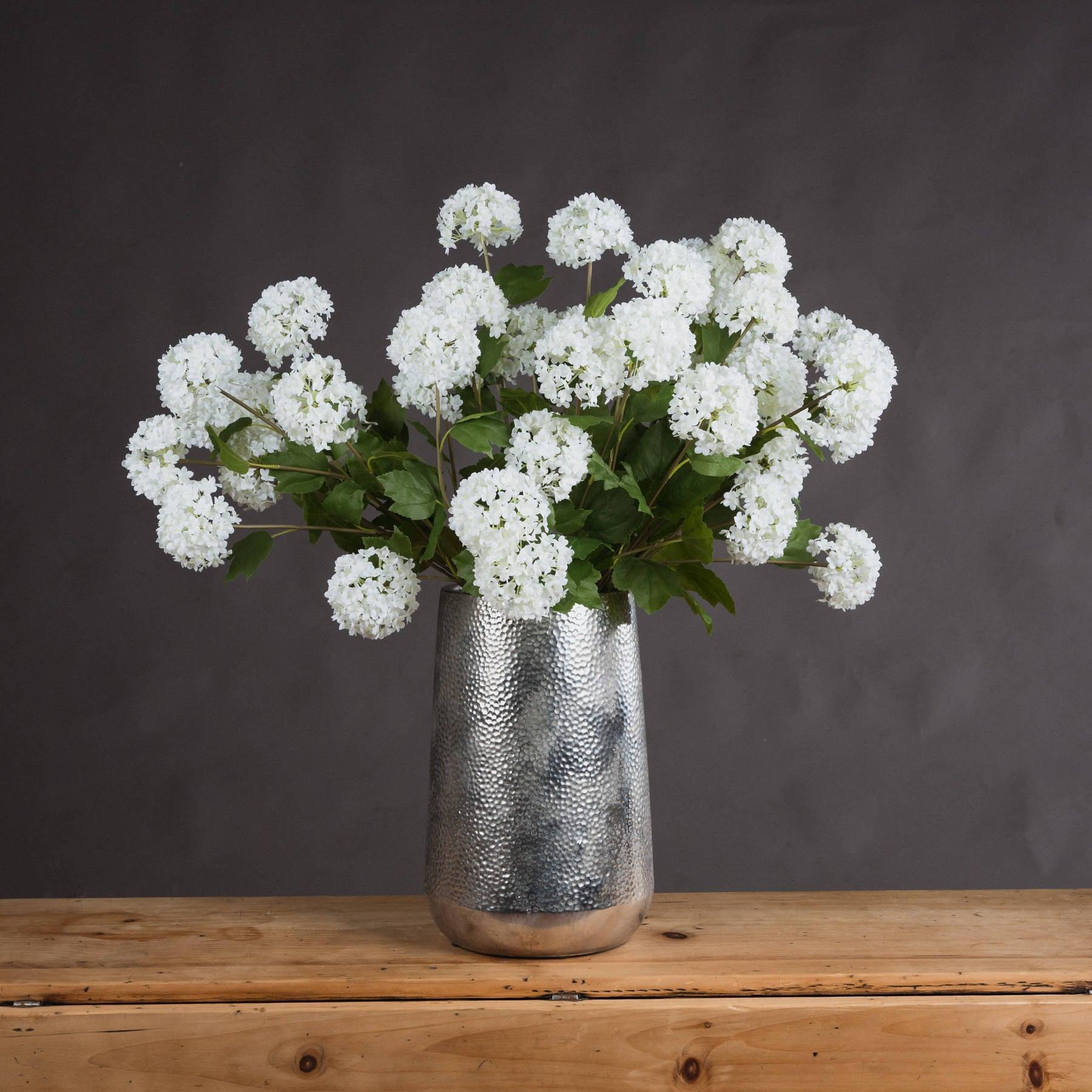 Viburnum Opulus - Eudemonia Home Goods
