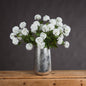 Viburnum Opulus - Eudemonia Home Goods